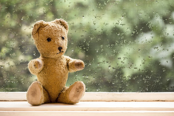 Vintage toy bear sitting in the window