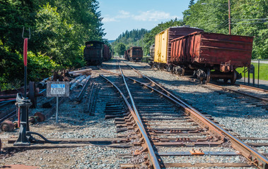 Old Trains On Tracks 2