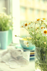 Bouquet of fresh chamomiles on blurred kitchen background