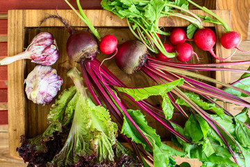 harvest: beet, lettuce, garden radish, garlic on wooden tray