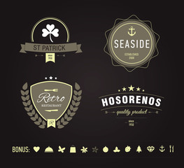 Retro Vintage Insignia or Logotype.