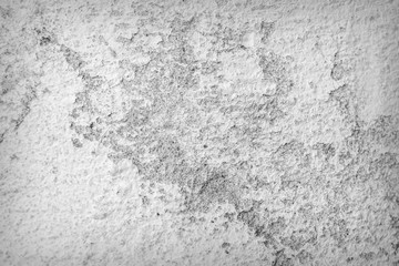 Texture of the concrete wall