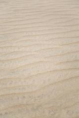 Sand