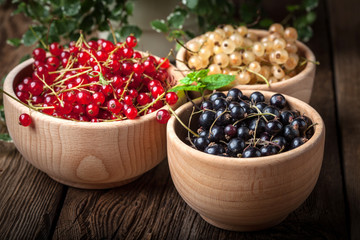 Redcurrant, blackcurrant, white currant fruit.