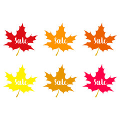 Autumn Sales Banner With Colorful Leaves. Vector.