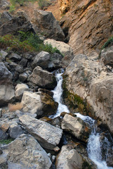 Fototapeta na wymiar Ручей в каменистом каньоне Тянь Шаня