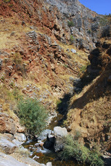 Горный ручей в тени гор Тянь Шаня