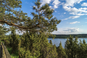Fototapeta na wymiar Summer landscape with river and forest