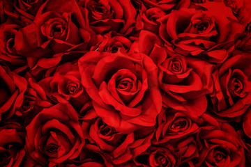beautiful artificial red roses background