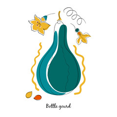Gourd and leaves in cartoon style