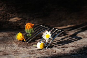 ...ich esse Blumen