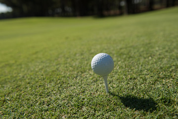 golf ball on tee