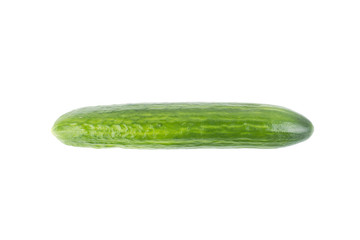 Cucumber isolated on white background