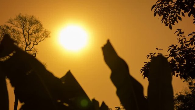 Video 1080p - Hot sun over the tropical forest in the dry season. Thailand