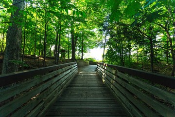 Obraz premium The Bridge