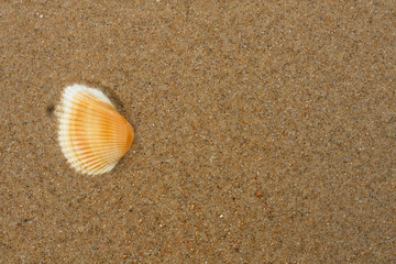 Sink In Sea Beach Top View.