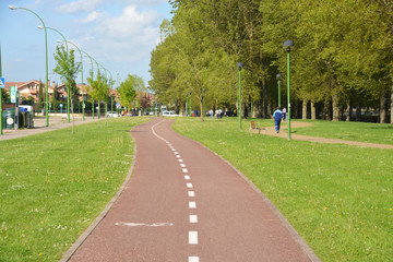 Fototapeta na wymiar carril bici a través de un parque