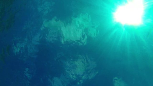 Video 1920x1080 - Man snorkeling in the warm sea. View from the bottom of the sea