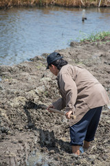 Worker digging hole with a hoe at construction site