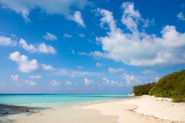 clear water tropical nature background holiday luxury resort island atoll about coral reef freedom snorkel adventure