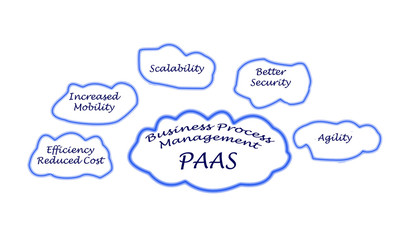 Business Process Management on PAAS