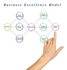 Business Excellence Model