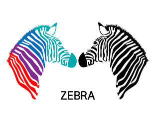 Fototapeta na wymiar Zebra head. Hand drawn and outlined in vector illustration. Simple flat style. isolated on white background.