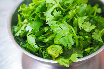 fresh coriander on stainless bowl
