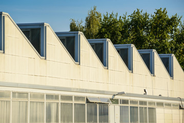 Sawtooth roof line of an old industrial building