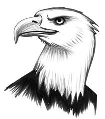 Eagle Sketch