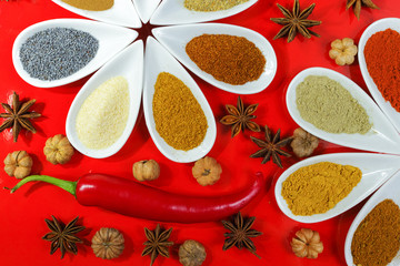 Colorful Indian spices on red background