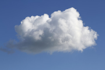 Naklejka na ściany i meble One big soft fluffy cloud in blue sky
