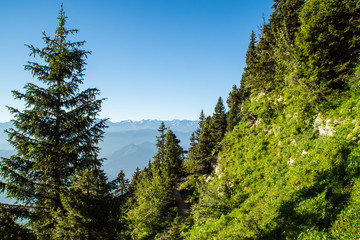 Massif de la Chartreuse - Is&egrave;re.