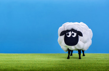Eid Al Adha Sheep