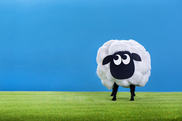 Eid Al Adha Sheep