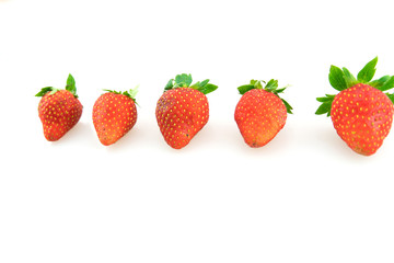 non fresh, Stale, bruised Strawberry isolate on white with copy space, no longer suitable for consumption
