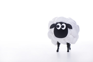 Eid Al Adha Sheep