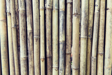 bamboo cane wall texture