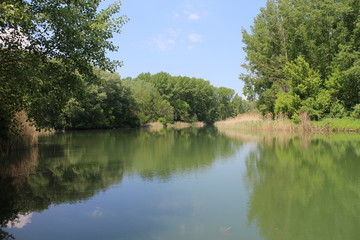 Fototapeta na wymiar Natural reserve of distributaries of Danube river near Vojka, Slovakia