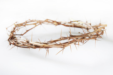 Crown of Thorns lies on light background