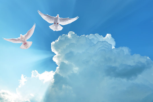 White Holy Doves flying in cloudy sky