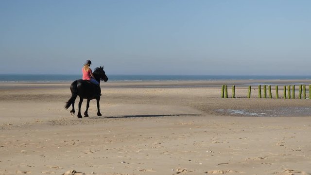 cavali&egrave;re sur la c&ocirc;te
