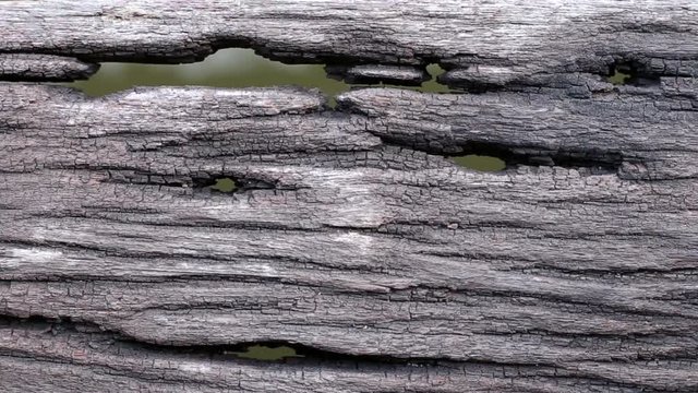 Closeup of old wooden floor with holes and water background