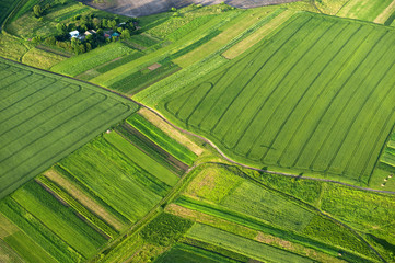 Aerial view on green and yellow parts of fields and countryside