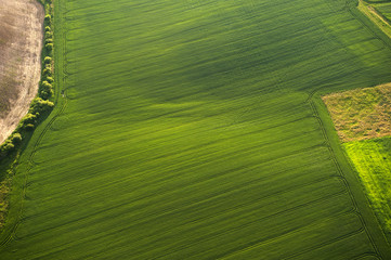 Aerial view on green and yellow parts of fields and countryside