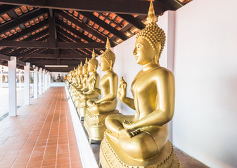 Buddha statue in the temple's Thailand