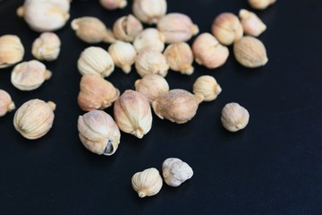 cardamom
