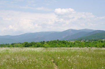 Fototapeta na wymiar Spring in Bajdarsky valley, Crimea 