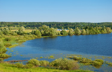 Fototapeta na wymiar Summer landscape with river and forest on the banks