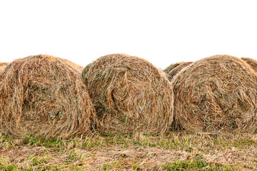 hay on white